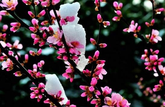 高考必背诗词重点句子,高考必考的诗句有哪些