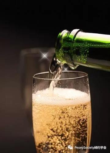 杯酒人生红酒品鉴,杯酒人生品味生活