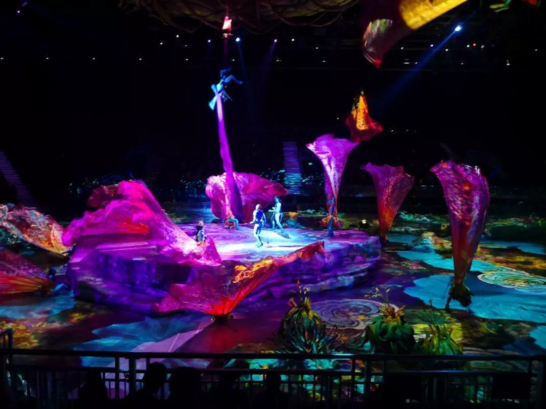 三亚新特惠活动,三亚优惠活动视频