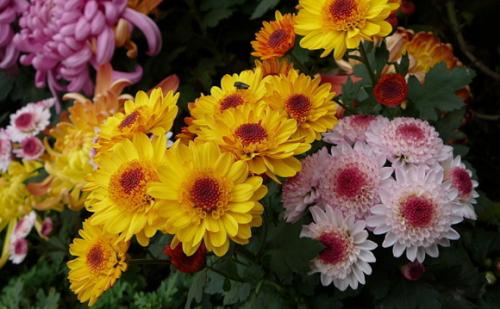 高考必背诗词重点句子,高考必考的诗句有哪些