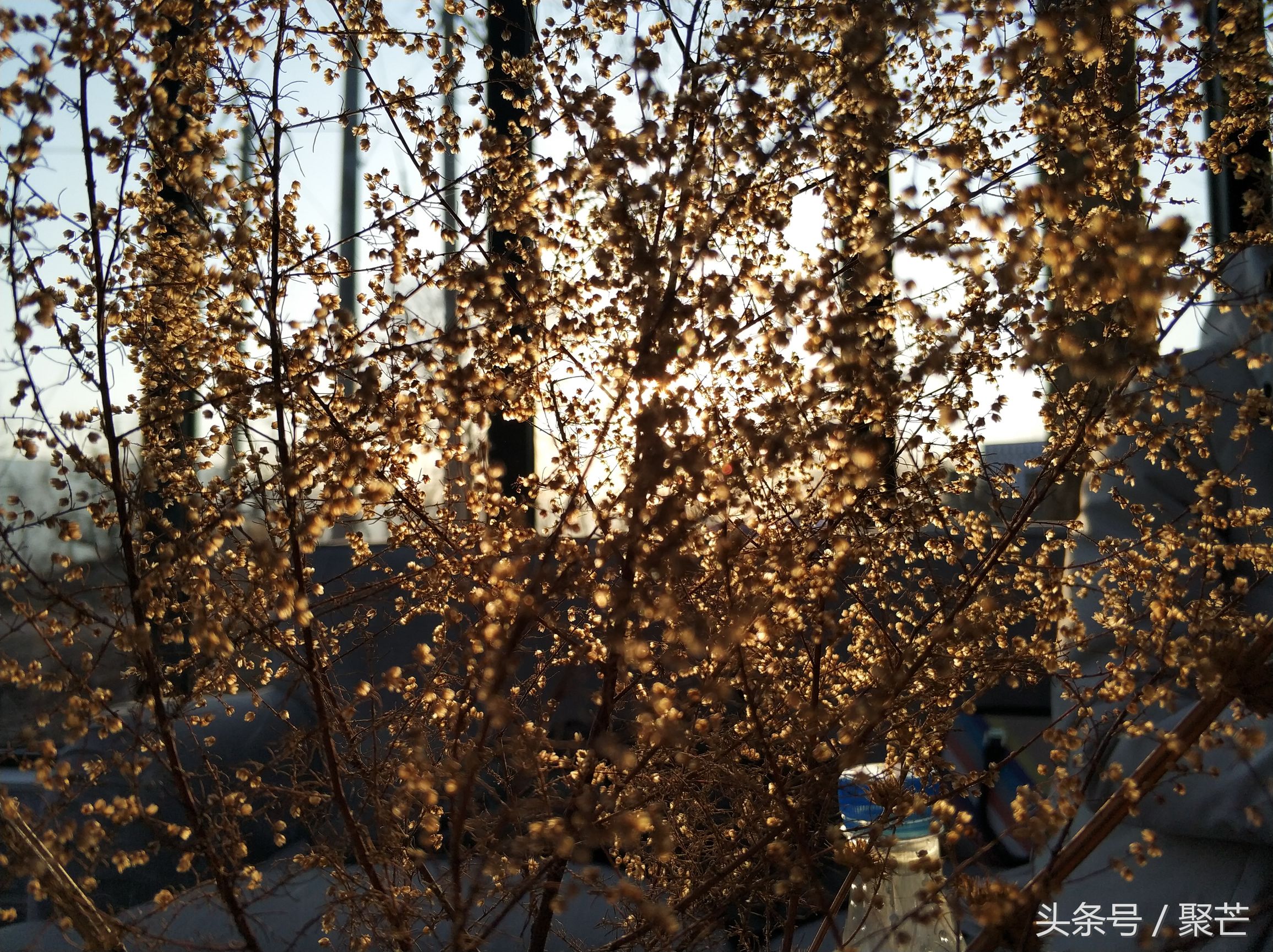 河南石头村自驾游攻略,自驾旅游小住环境好的村落