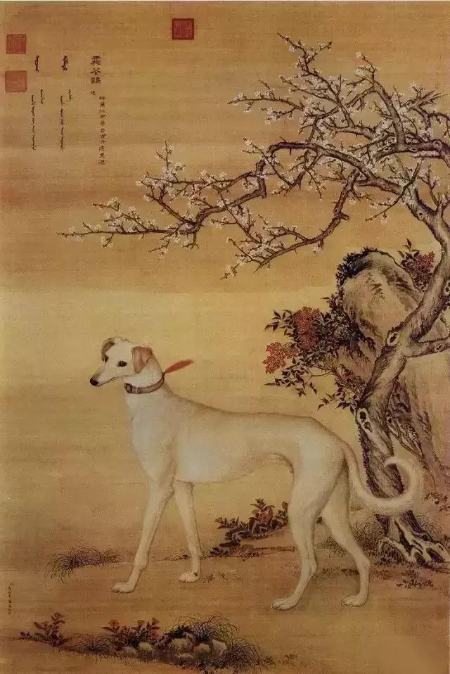 生肖符号昵称,生肖符号怎么弄