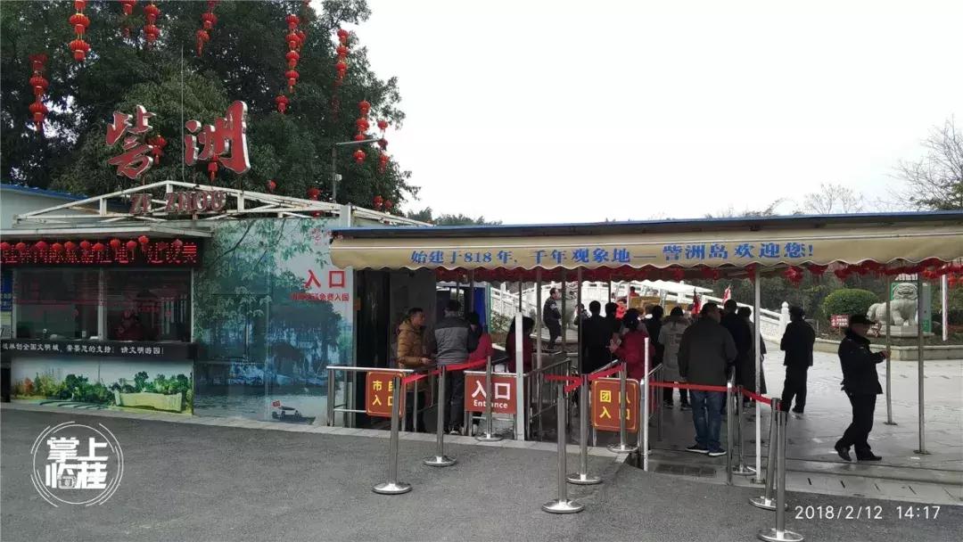 2020桂林訾洲公园郁金香盛开,桂林訾洲公园郁金香花期