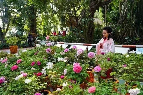 春节广州景点,广州特惠旅游景点推荐