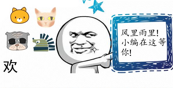 怎么训狗狗去狗垫上休息,怎么训练狗狗不拆家听话