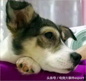 clearlove绮惧僵鎿嶄綔,clearlove鍗冨眰濂楄矾