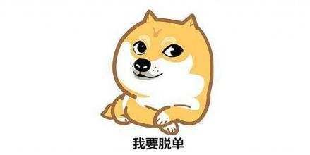 盘点动漫中所有宠物狗的原型,盘点动漫里的十只可爱的小狗