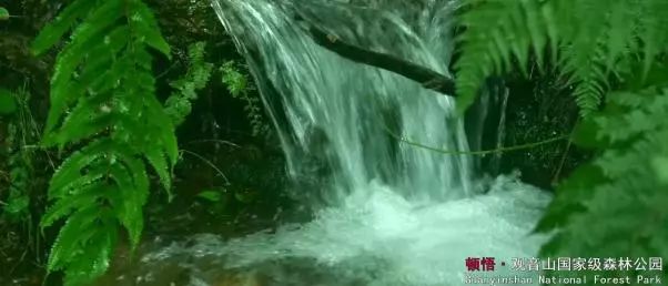 泸西游玩推荐,泸西旅游攻略必去景点推荐