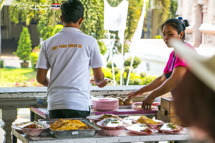 泰国清迈县旅行者,清迈佛寺之城等你采撷的泰北玫瑰