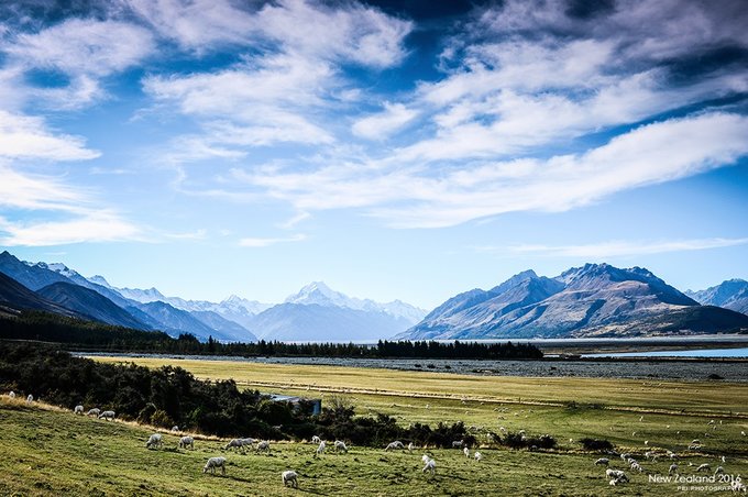 【NewZealand】说走就走，奔赴一场秋天的盛宴——新西兰任性10日游,更新中