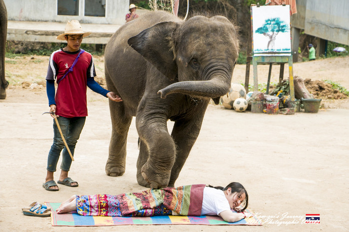 泰国清迈县旅行者,清迈佛寺之城等你采撷的泰北玫瑰