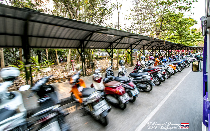 泰国清迈县旅行者,清迈佛寺之城等你采撷的泰北玫瑰