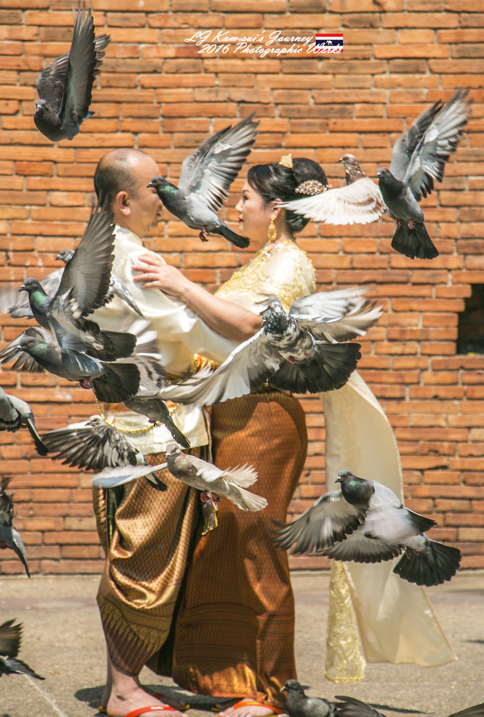 泰国清迈县旅行者,清迈佛寺之城等你采撷的泰北玫瑰