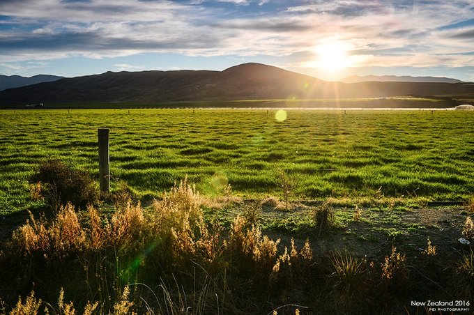 【NewZealand】说走就走，奔赴一场秋天的盛宴——新西兰任性10日游,更新中