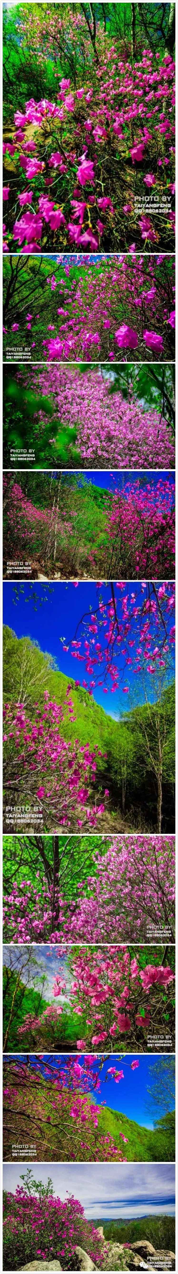 与花相约完全版,与花相约