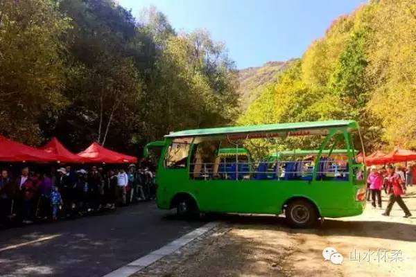 与花相约完全版,与花相约