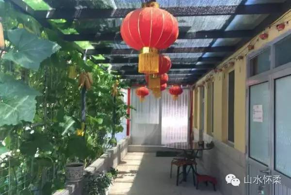 与花相约完全版,与花相约