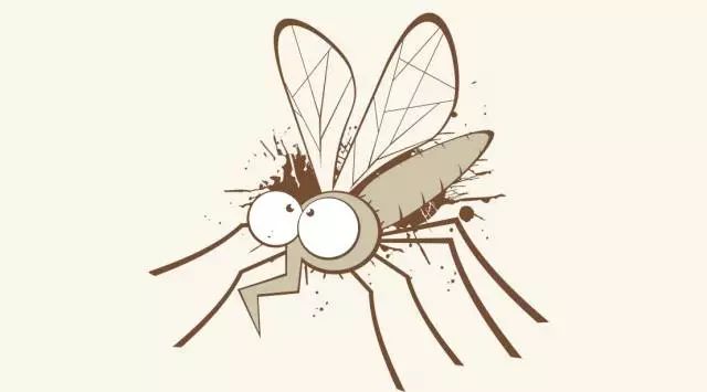 小苏打的功能和功效能治疗什么病,醋酸加小苏打清洁功能真的有效吗