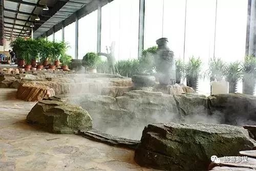 长春周边森林里的温泉有哪些,长春合适亲子度假的温泉