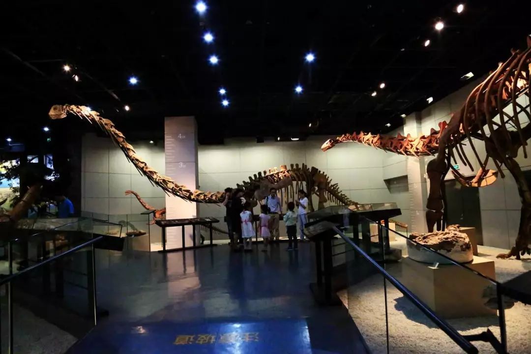 富阳能够带孩子游玩的地方,富阳合适带孩子玩的地方夏季