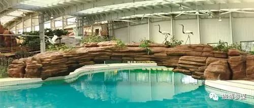 长春周边森林里的温泉有哪些,长春合适亲子度假的温泉