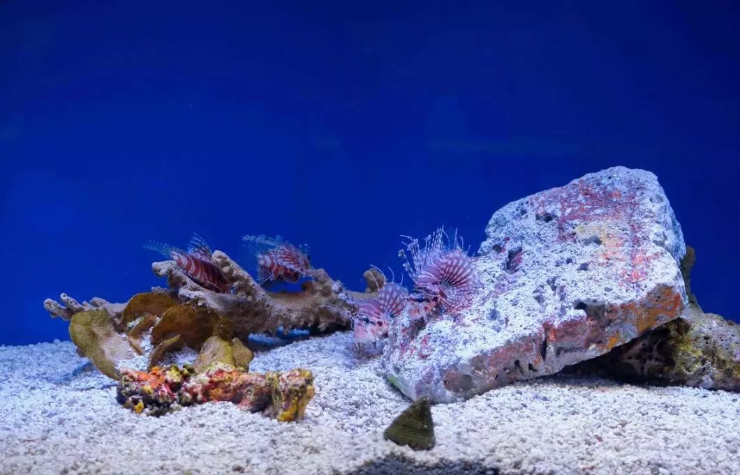 富阳能够带孩子游玩的地方,富阳合适带孩子玩的地方夏季