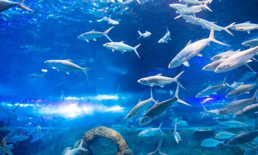 富阳能够带孩子游玩的地方,富阳合适带孩子玩的地方夏季