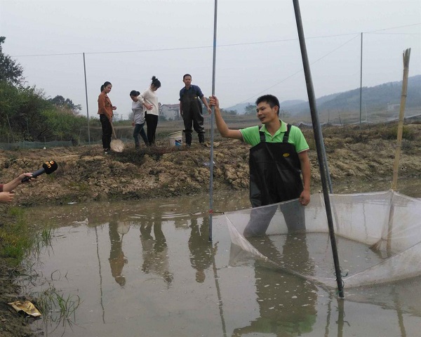 迎老乡回湖南建家乡,迎老乡回故乡建家乡西峡