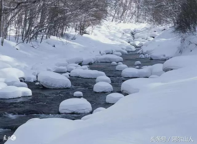 阿尔山冬天去还是夏天去,阿尔山看雪的最佳时间