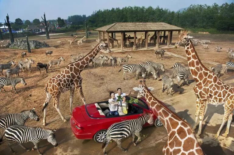 富阳能够带孩子游玩的地方,富阳合适带孩子玩的地方夏季