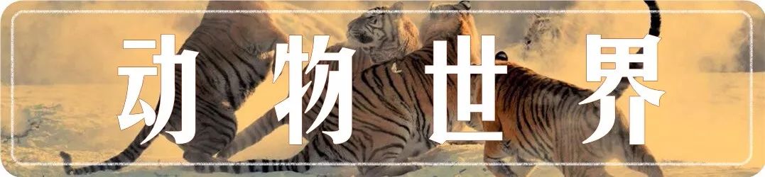 富阳能够带孩子游玩的地方,富阳合适带孩子玩的地方夏季