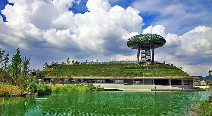 富阳能够带孩子游玩的地方,富阳合适带孩子玩的地方夏季