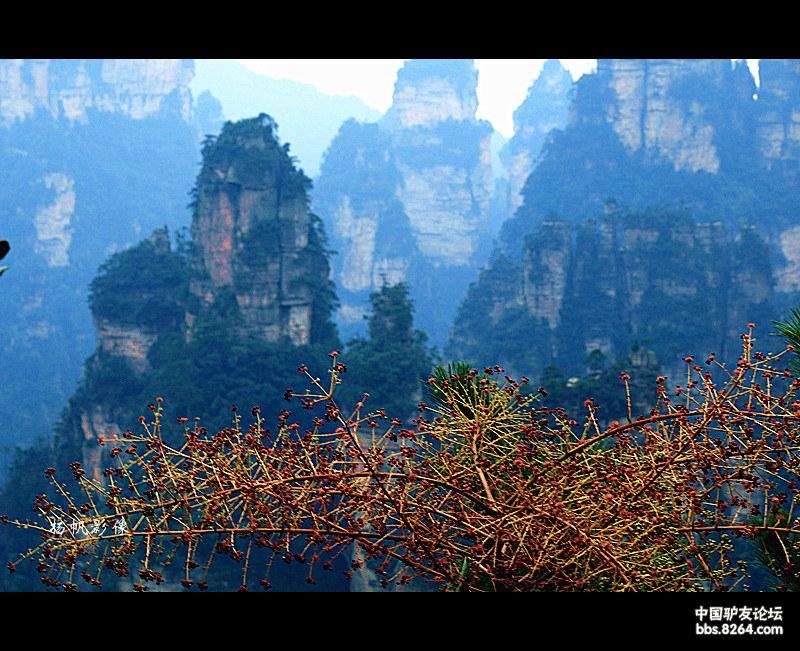 去寻找心中的另一个自己,等待遇见另一个自己