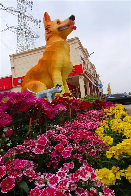 鑿犺悵宀姳鐏睍瑙堟椂闂磋〃,2020骞村崡瀹佽彔钀濆箔鑺辩伅