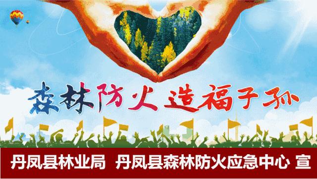 火！火！火！丹凤县2018年“春风行动”暨雨丹劳务协作现场招聘会爆棚啦！