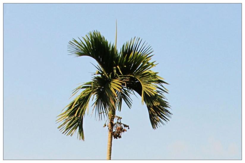 海南三亚的槟榔谷,三亚槟榔谷黎族原生态攻略