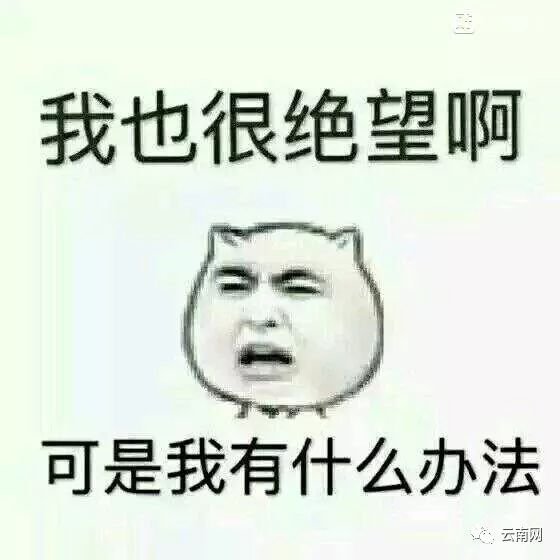 云大与昆工,云大跻身全国百强