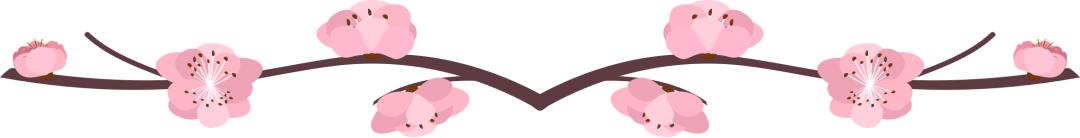 我有一座美丽的海岛,我有一座海岛免费下载