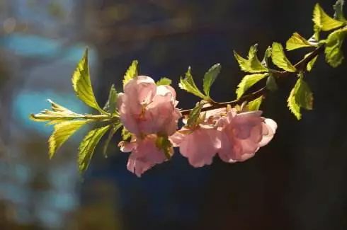 今日惊蛰各时节,今日惊蛰节气解释