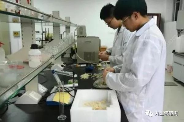 「九江零距离」领取一元共享男友陪吃陪玩做苦力半小时