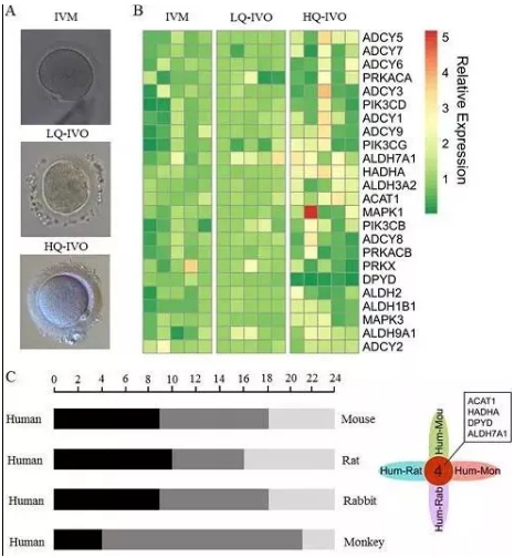 单细胞测序乔杰,乔杰院士讲单细胞