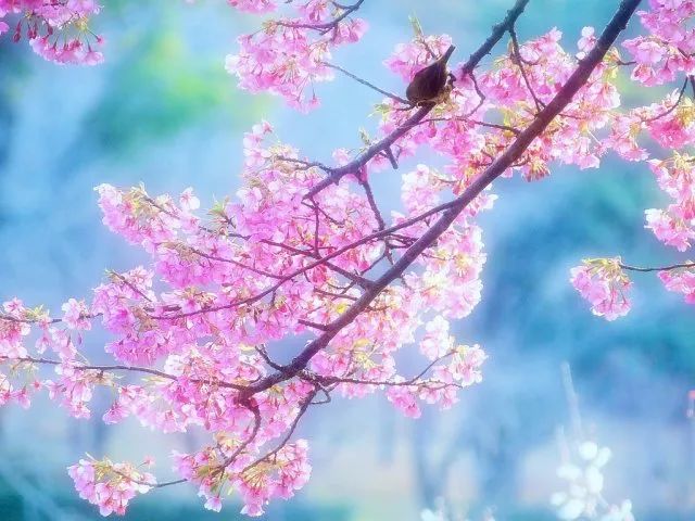 2024春风行动招聘会上海,上海近期各区春风行动招聘会