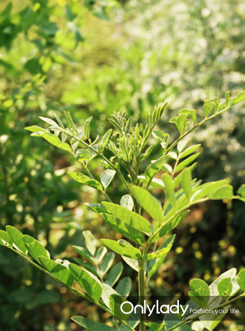 如何美白补水让肌肤白皙无瑕,日常美白小窍门让肌肤悄然变白