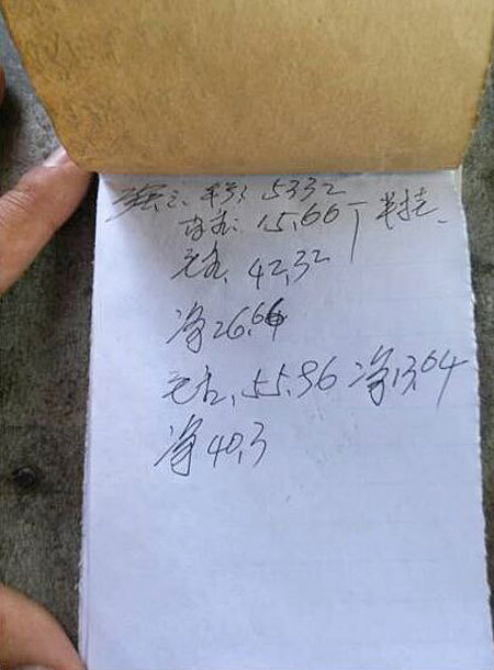 种植大户一亩田收入,种植一亩地收入45万元