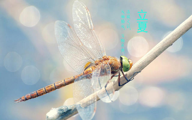 这样的“胆色”才是夏日最真实的本色