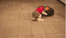 买完就后悔的东西,你买过最没用的东西是什么