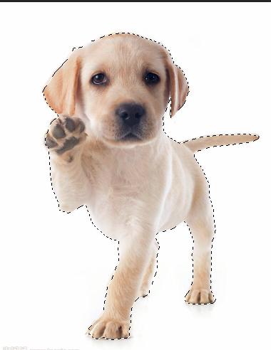 ps2018基础全部教程新手入门,ps2018基础教程新手入门