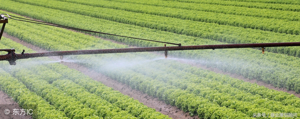 80后返乡创业方案有哪些,2023返乡创业有什么好项目