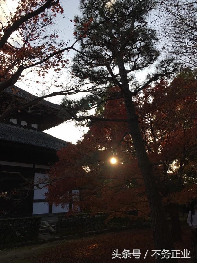 旅行|CoordinateBook06-No.535.0116°N,135.7680°E京都