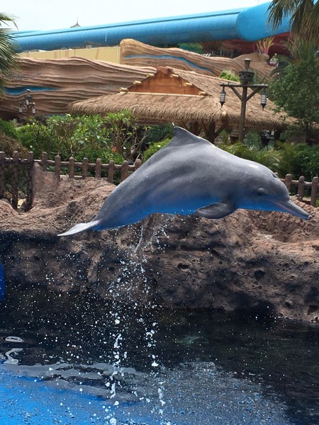 去珠海长隆海洋王国住哪里好,珠海长隆海洋王国烟花时间表